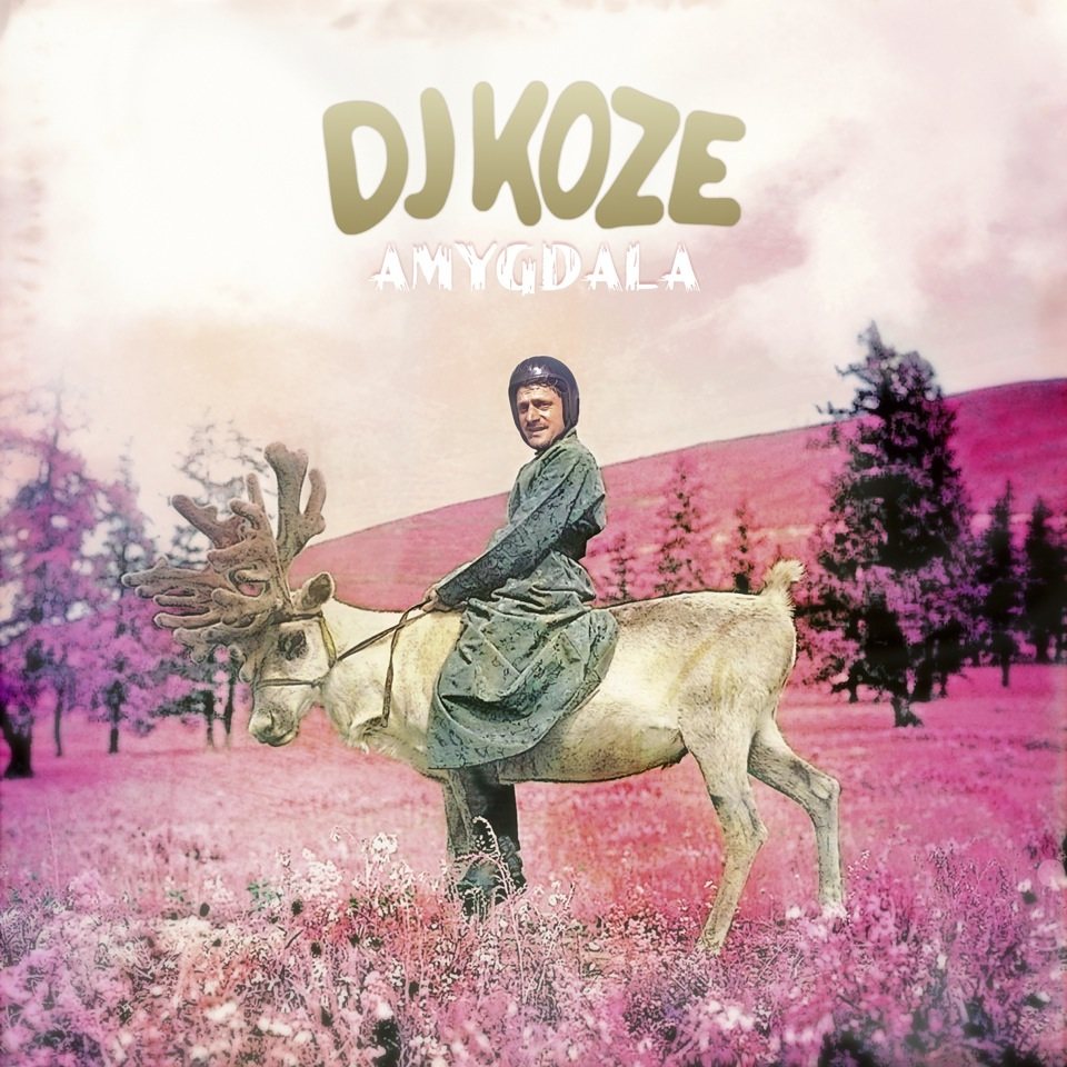 DJ Koze-Amygdala