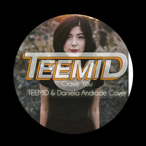 Flight Facilities - Crave You (TEEMID & Daniela Andrade Cover)