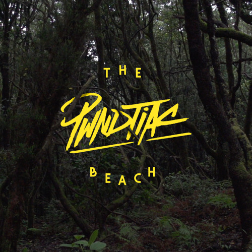 DYLTS - PWNDTIAC - The Beach EP