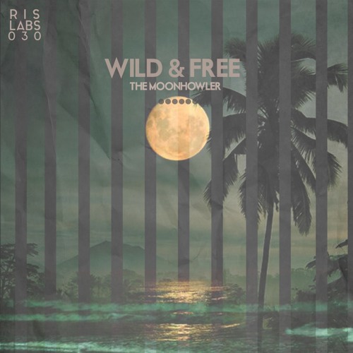 DYLTS - Wild & Free - River Of Nile