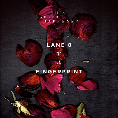 DYLTS - Lane 8 - Fingerprint